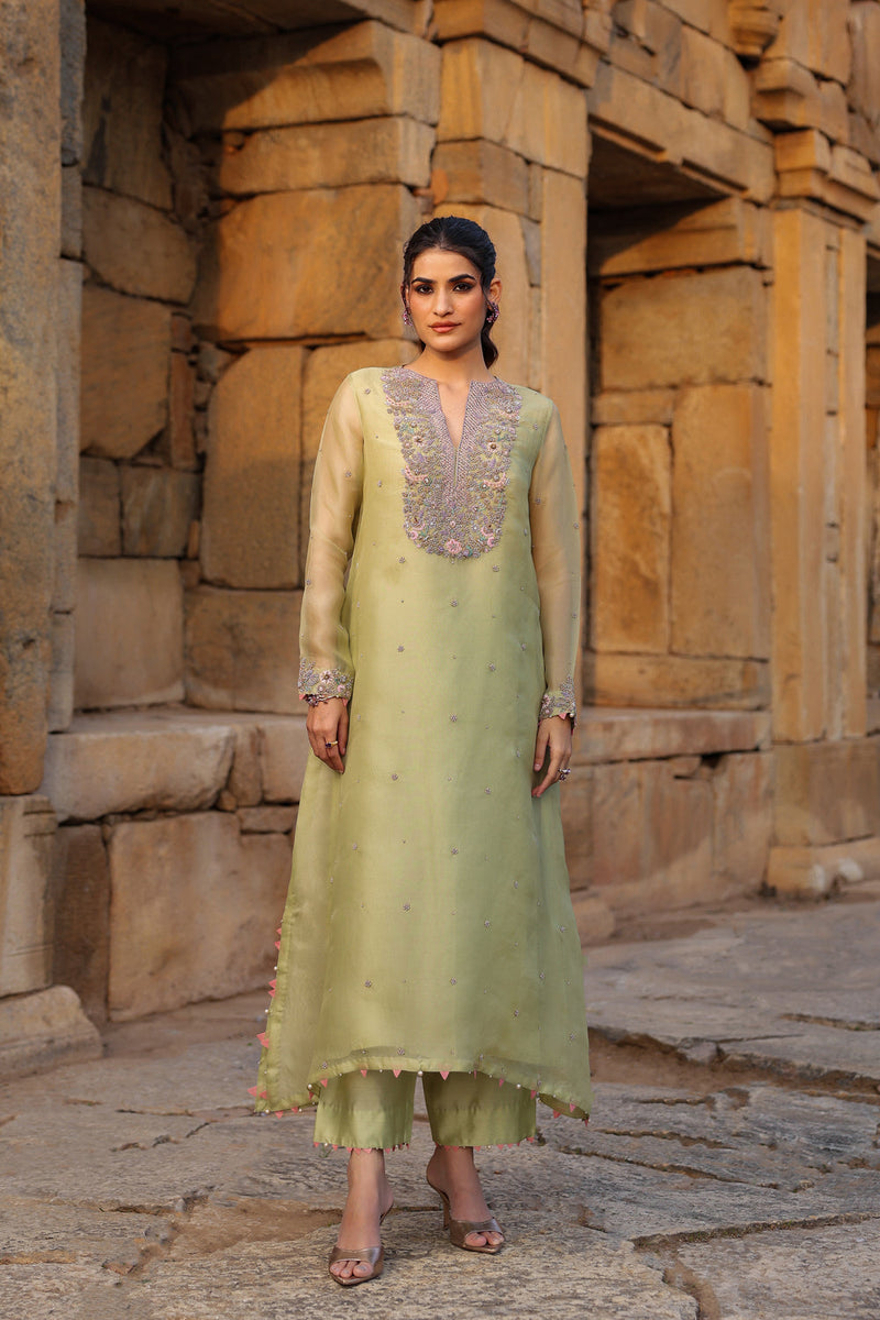 Vaayu Green Heavy Neck Kurta Set organza , silk tencel kurta/kurta set by Niti Bothra in green for women in Singapore