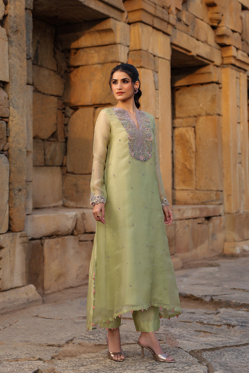 Vaayu Green Heavy Neck Kurta Set organza , silk tencel kurta/kurta set by Niti Bothra in green for women in Singapore