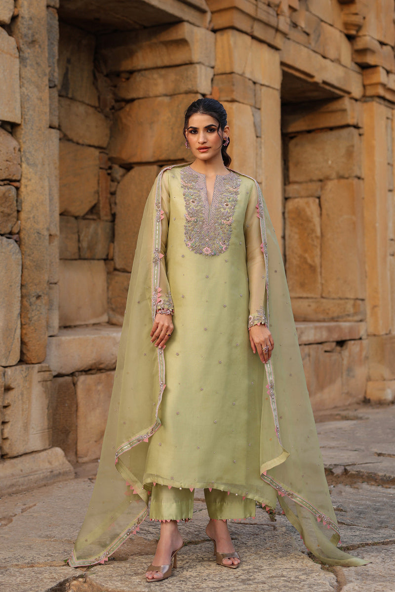 Vaayu Green Heavy Neck Kurta Set organza , silk tencel kurta/kurta set by Niti Bothra in green for women in Singapore