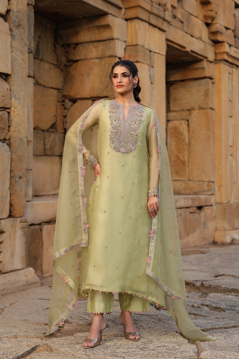 Vaayu Green Heavy Neck Kurta Set organza , silk tencel kurta/kurta set by Niti Bothra in green for women in Singapore