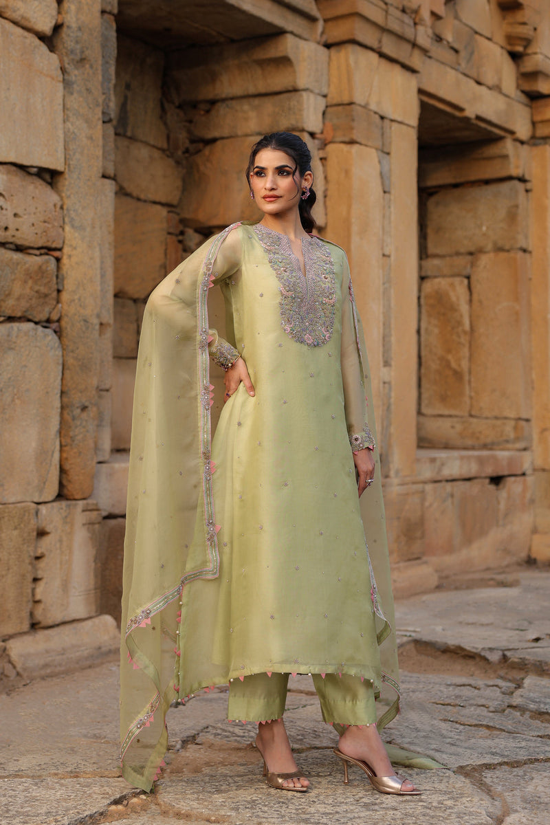 Vaayu Green Heavy Neck Kurta Set organza , silk tencel kurta/kurta set by Niti Bothra in green for women in Singapore
