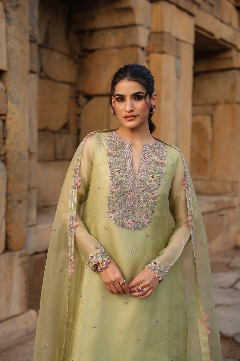 Vaayu Green Heavy Neck Kurta Set organza , silk tencel kurta/kurta set by Niti Bothra in green for women in Singapore
