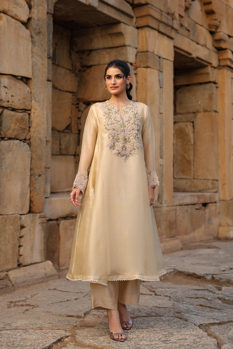 Vaayu Beige Pheran Kurta Set organza , silk tencel kurta/kurta set by Niti Bothra in beige for women in Singapore