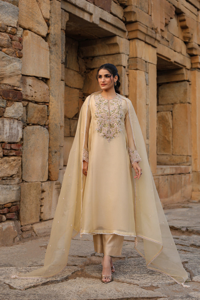 Vaayu Beige Pheran Kurta Set organza , silk tencel kurta/kurta set by Niti Bothra in beige for women in Singapore