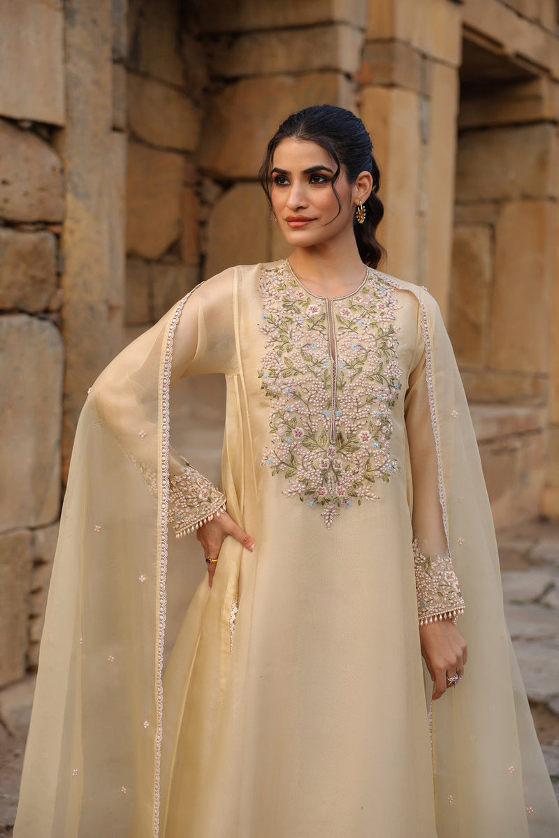 Vaayu Beige Pheran Kurta Set organza , silk tencel kurta/kurta set by Niti Bothra in beige for women in Singapore