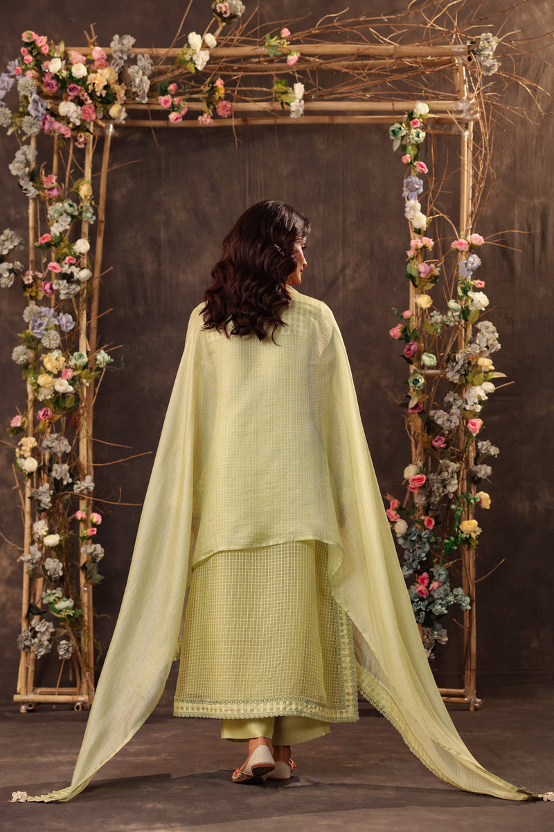 Vaayu Green Straight Long Kurta Set silk chanderi , silk tencel kurta/kurta set by Niti Bothra in green for women in Singapore