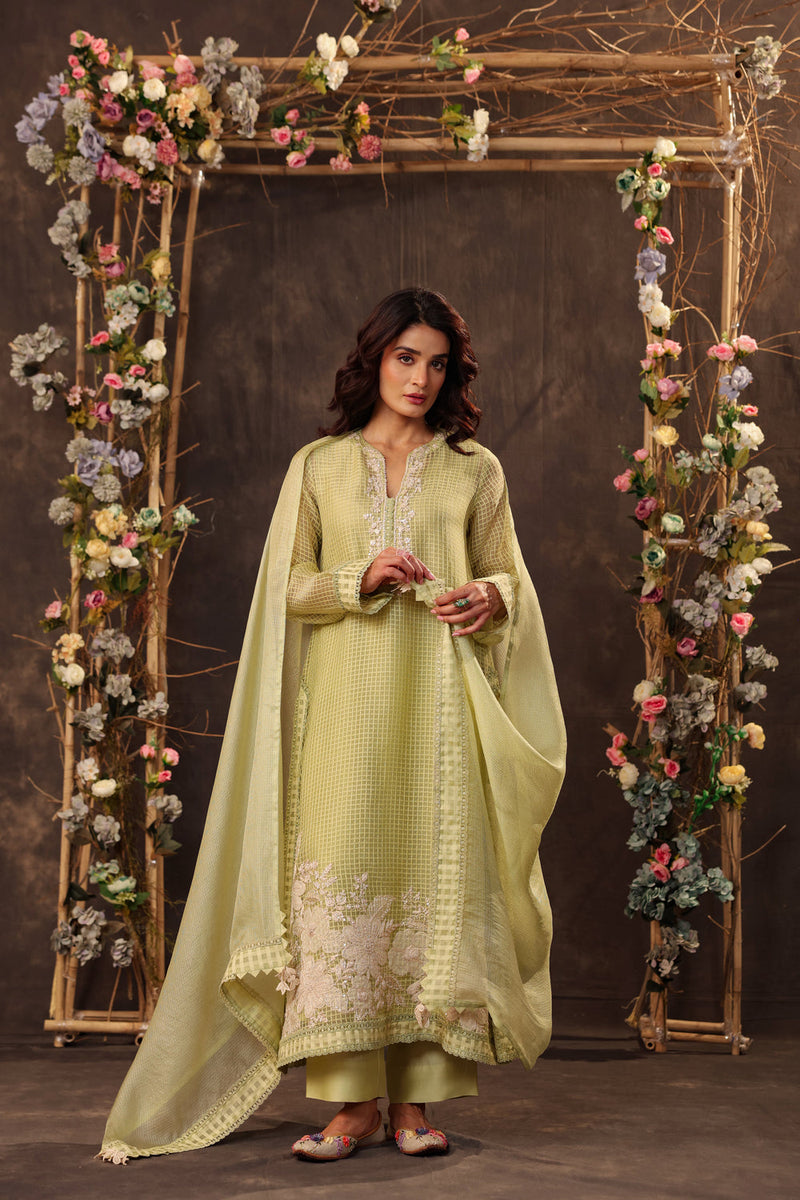 Vaayu Green Straight Long Kurta Set silk chanderi , silk tencel kurta/kurta set by Niti Bothra in green for women in Singapore