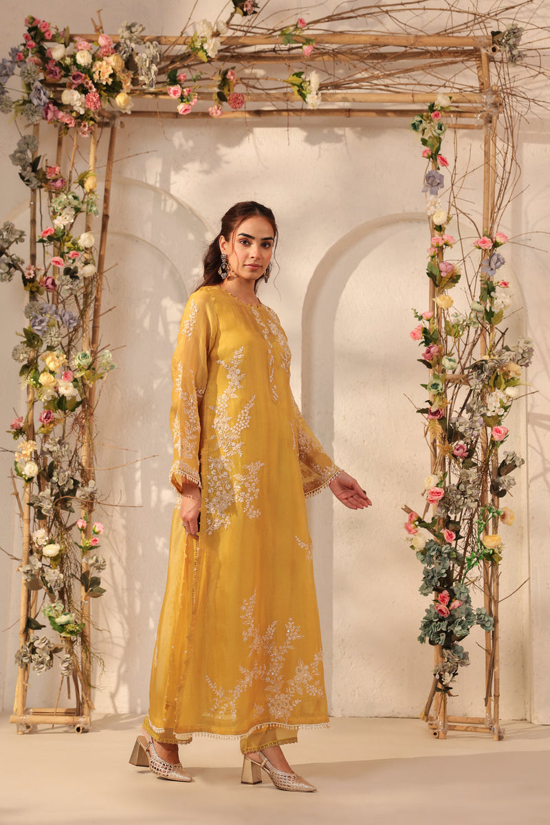 Vaayu Yellow Jaal Straight kurta Set organza , silk tencel kurta/kurta set by Niti Bothra in yellow for women in Singapore