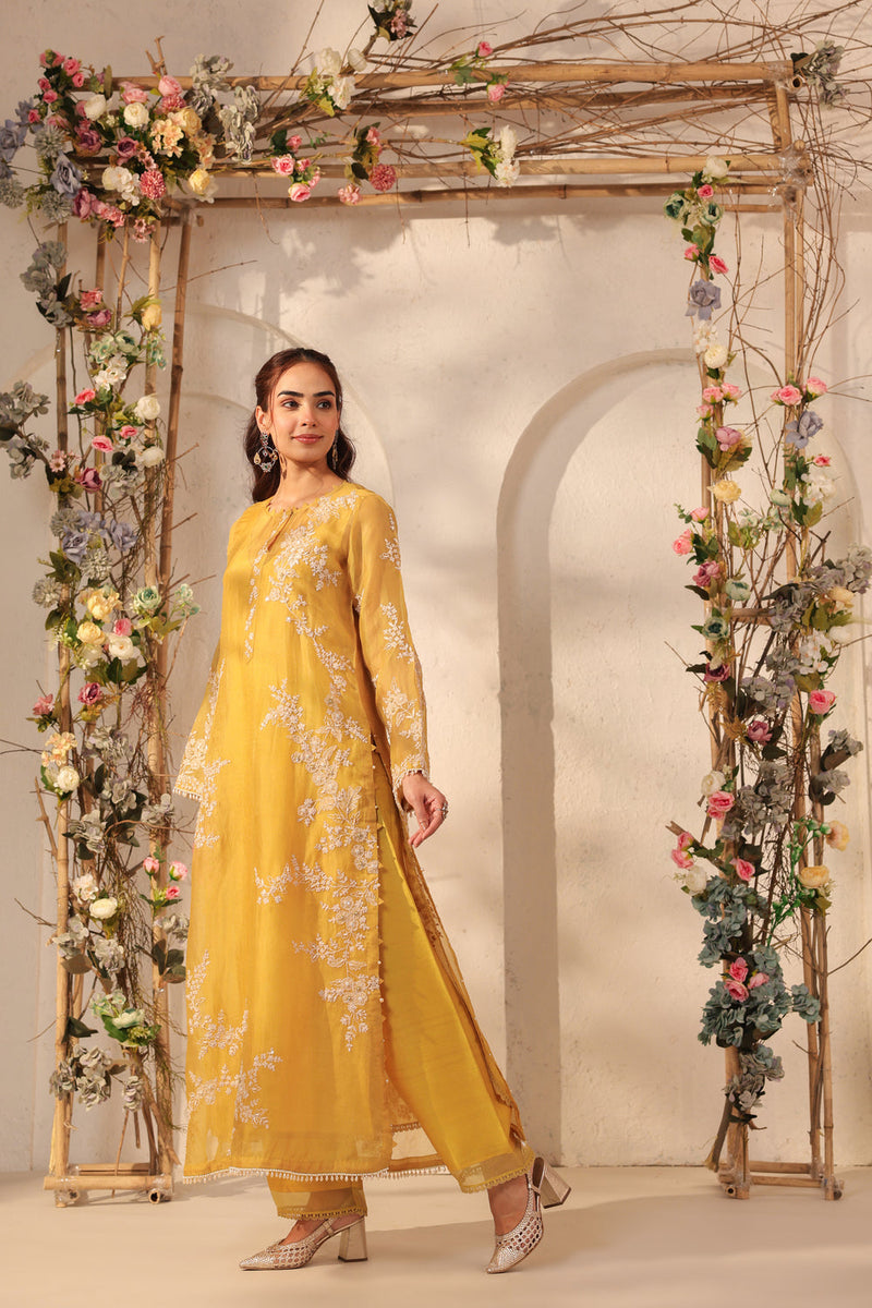 Vaayu Yellow Jaal Straight kurta Set organza , silk tencel kurta/kurta set by Niti Bothra in yellow for women in Singapore