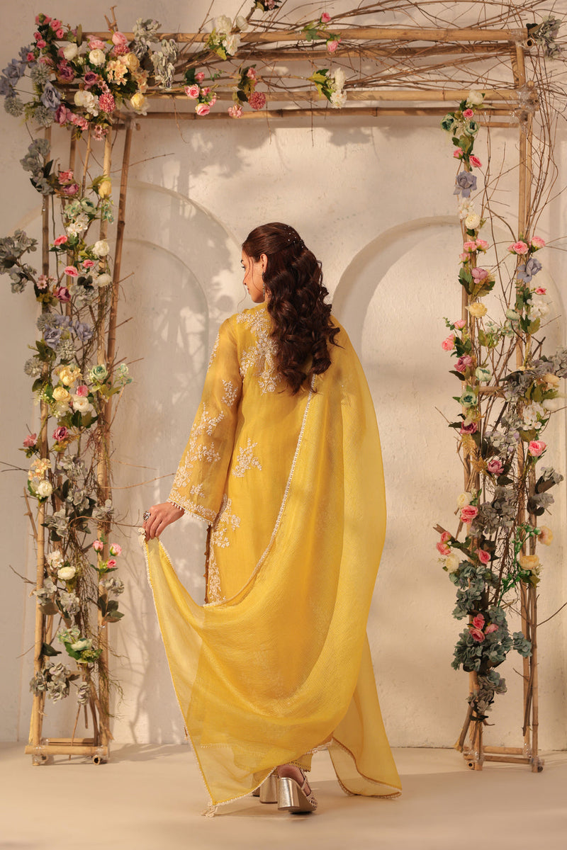 Vaayu Yellow Jaal Straight kurta Set organza , silk tencel kurta/kurta set by Niti Bothra in yellow for women in Singapore