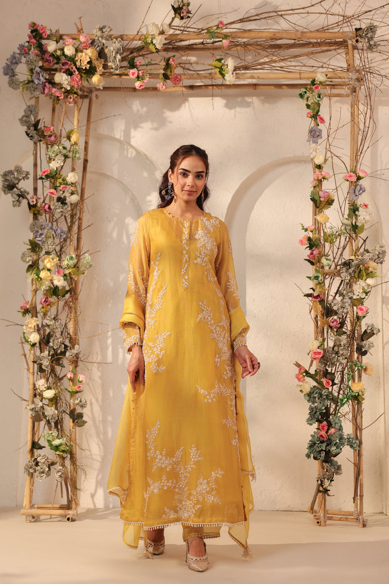 Vaayu Yellow Jaal Straight kurta Set organza , silk tencel kurta/kurta set by Niti Bothra in yellow for women in Singapore