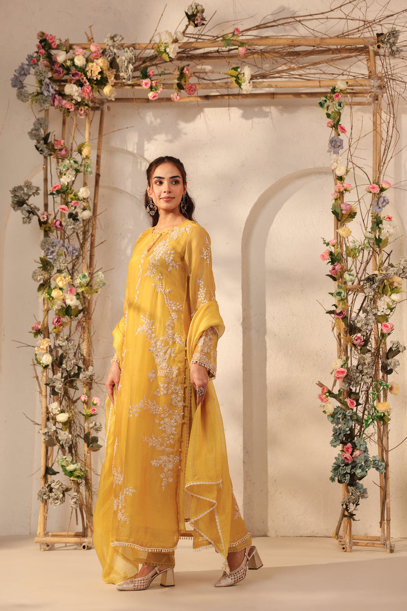 Vaayu Yellow Jaal Straight kurta Set organza , silk tencel kurta/kurta set by Niti Bothra in yellow for women in Singapore