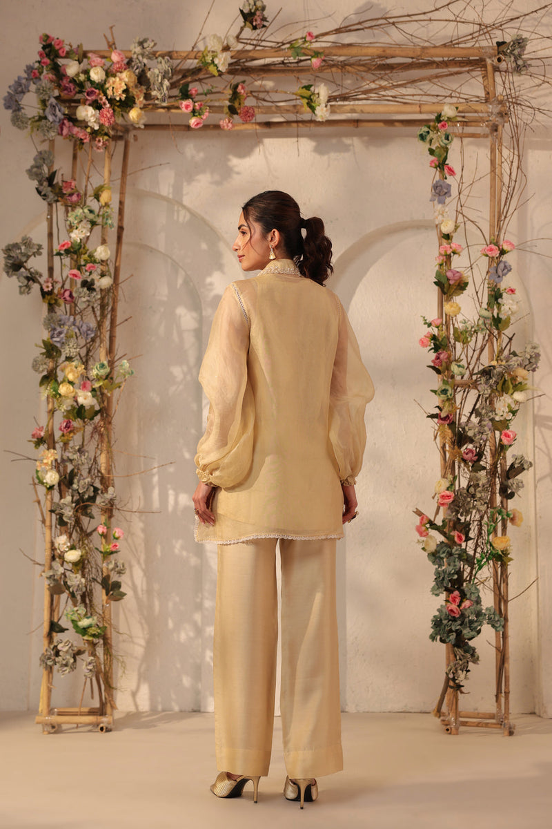 Vaayu Beige Jacket Co-ord Set organza , silk tencel kurta/kurta set by Niti Bothra in beige for women in Singapore