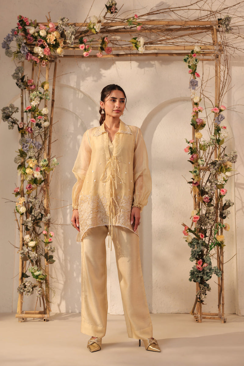Vaayu Beige Jacket Co-ord Set organza , silk tencel kurta/kurta set by Niti Bothra in beige for women in Singapore