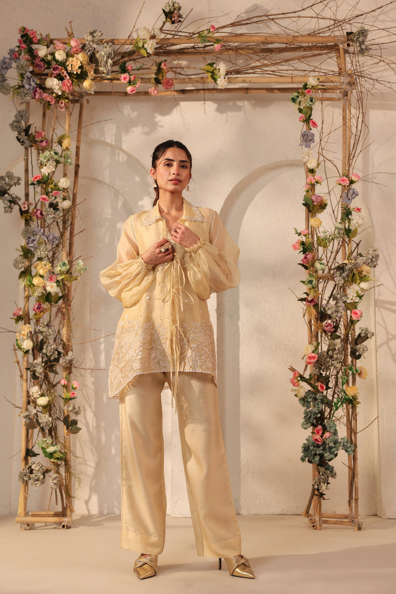 Vaayu Beige Jacket Co-ord Set organza , silk tencel kurta/kurta set by Niti Bothra in beige for women in Singapore