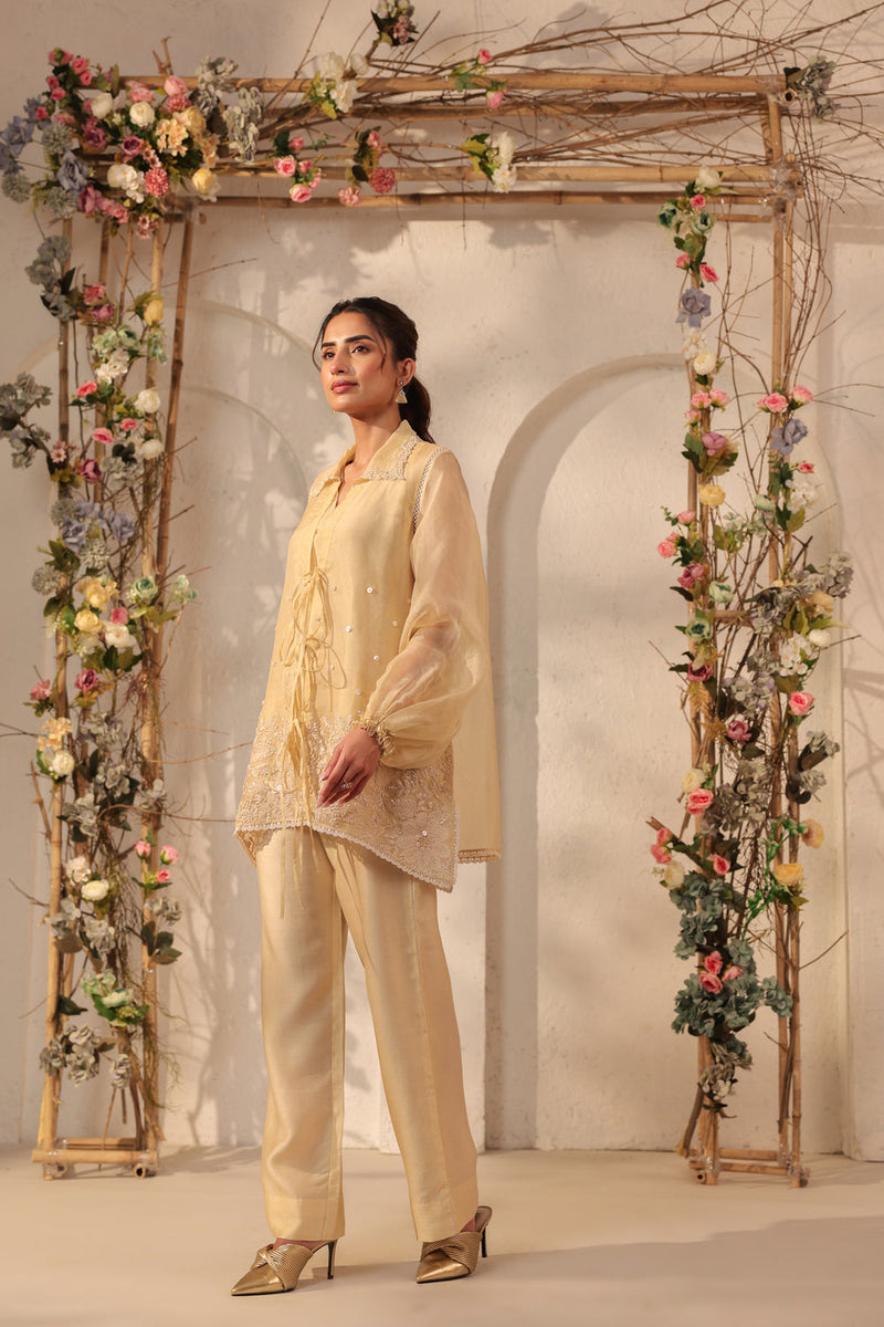 Vaayu Beige Jacket Co-ord Set organza , silk tencel kurta/kurta set by Niti Bothra in beige for women in Singapore