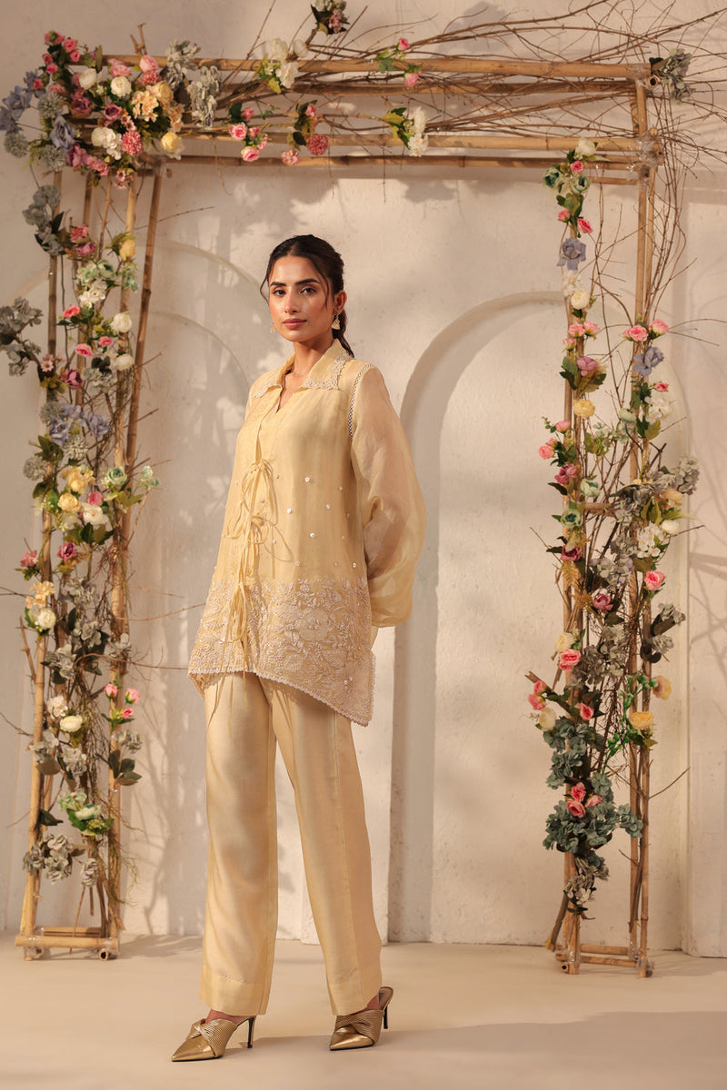 Vaayu Beige Jacket Co-ord Set organza , silk tencel kurta/kurta set by Niti Bothra in beige for women in Singapore
