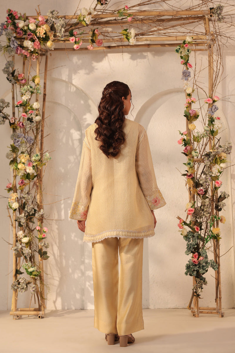 Vaayu Beige Applique Co-ord Set silk chanderi , silk tencel kurta/kurta set by Niti Bothra in beige for women in Singapore