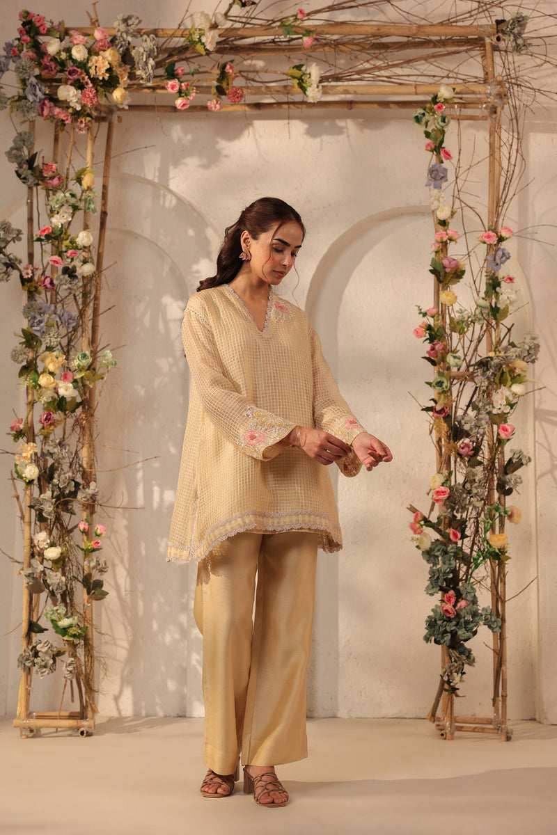 Vaayu Beige Applique Co-ord Set silk chanderi , silk tencel kurta/kurta set by Niti Bothra in beige for women in Singapore