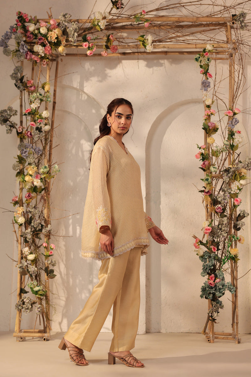 Vaayu Beige Applique Co-ord Set silk chanderi , silk tencel kurta/kurta set by Niti Bothra in beige for women in Singapore