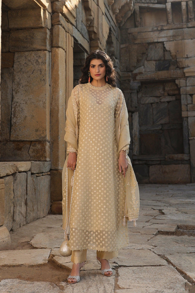 Vaayu Beige Buti Close Neck Kurta Set organza , silk tencel kurta/kurta set by Niti Bothra in beige for women in Singapore