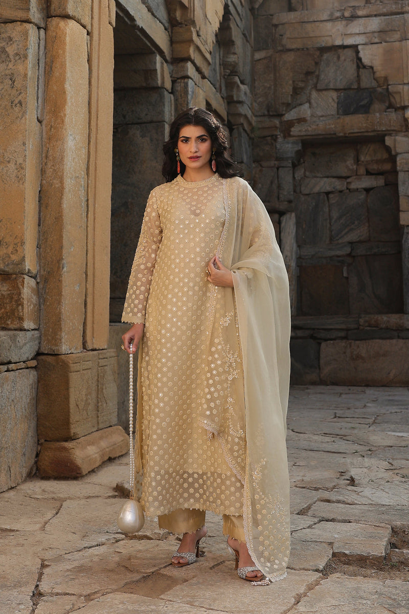 Vaayu Beige Buti Close Neck Kurta Set organza , silk tencel kurta/kurta set by Niti Bothra in beige for women in Singapore