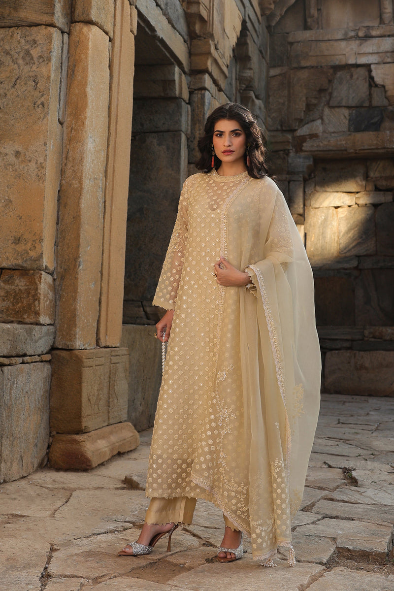 Vaayu Beige Buti Close Neck Kurta Set organza , silk tencel kurta/kurta set by Niti Bothra in beige for women in Singapore