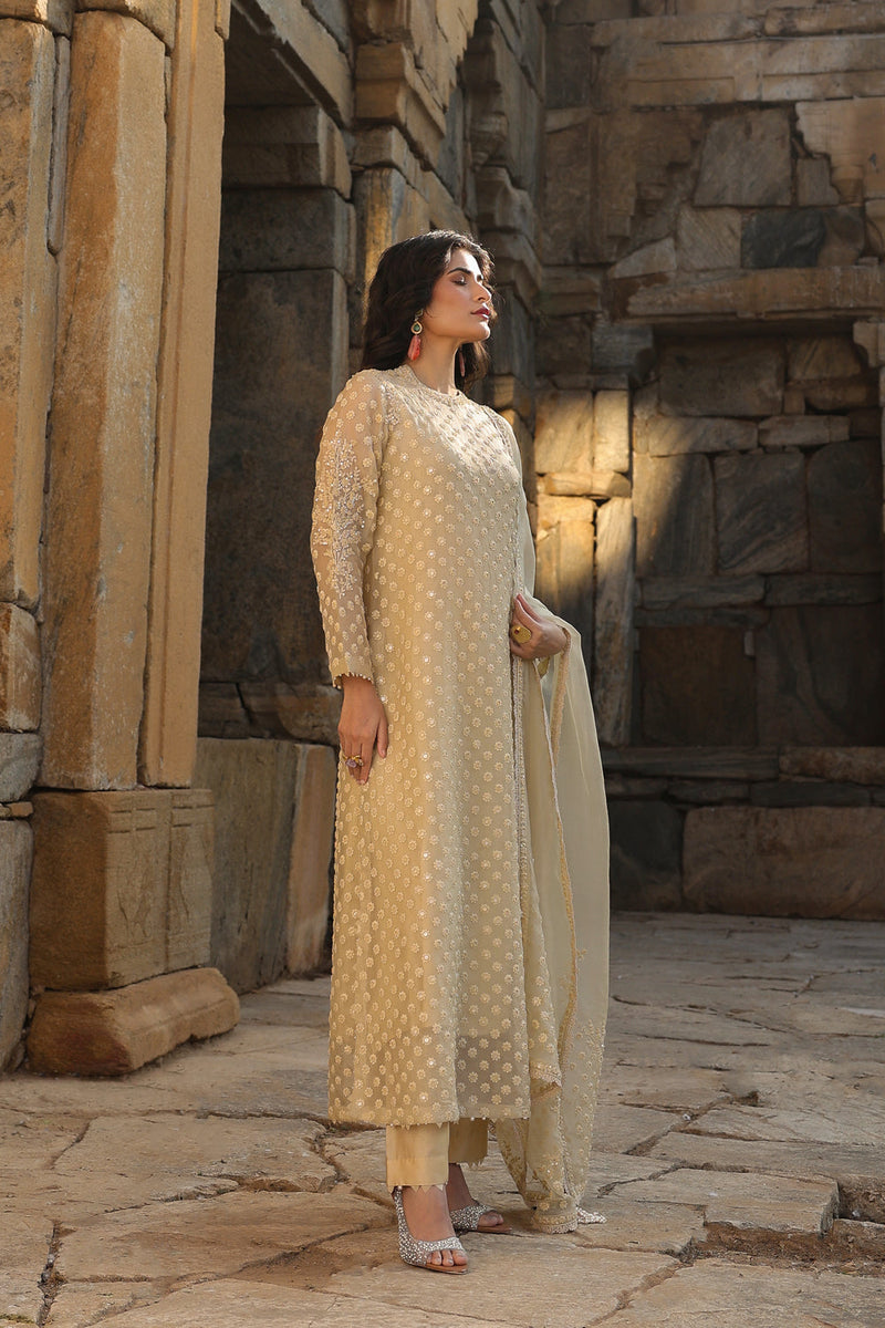 Vaayu Beige Buti Close Neck Kurta Set organza , silk tencel kurta/kurta set by Niti Bothra in beige for women in Singapore