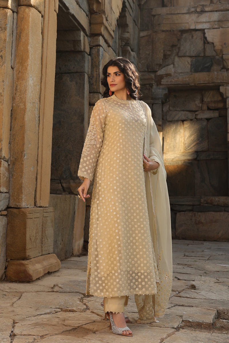Vaayu Beige Buti Close Neck Kurta Set organza , silk tencel kurta/kurta set by Niti Bothra in beige for women in Singapore