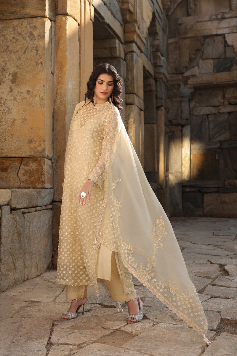 Vaayu Beige Buti Close Neck Kurta Set organza , silk tencel kurta/kurta set by Niti Bothra in beige for women in Singapore