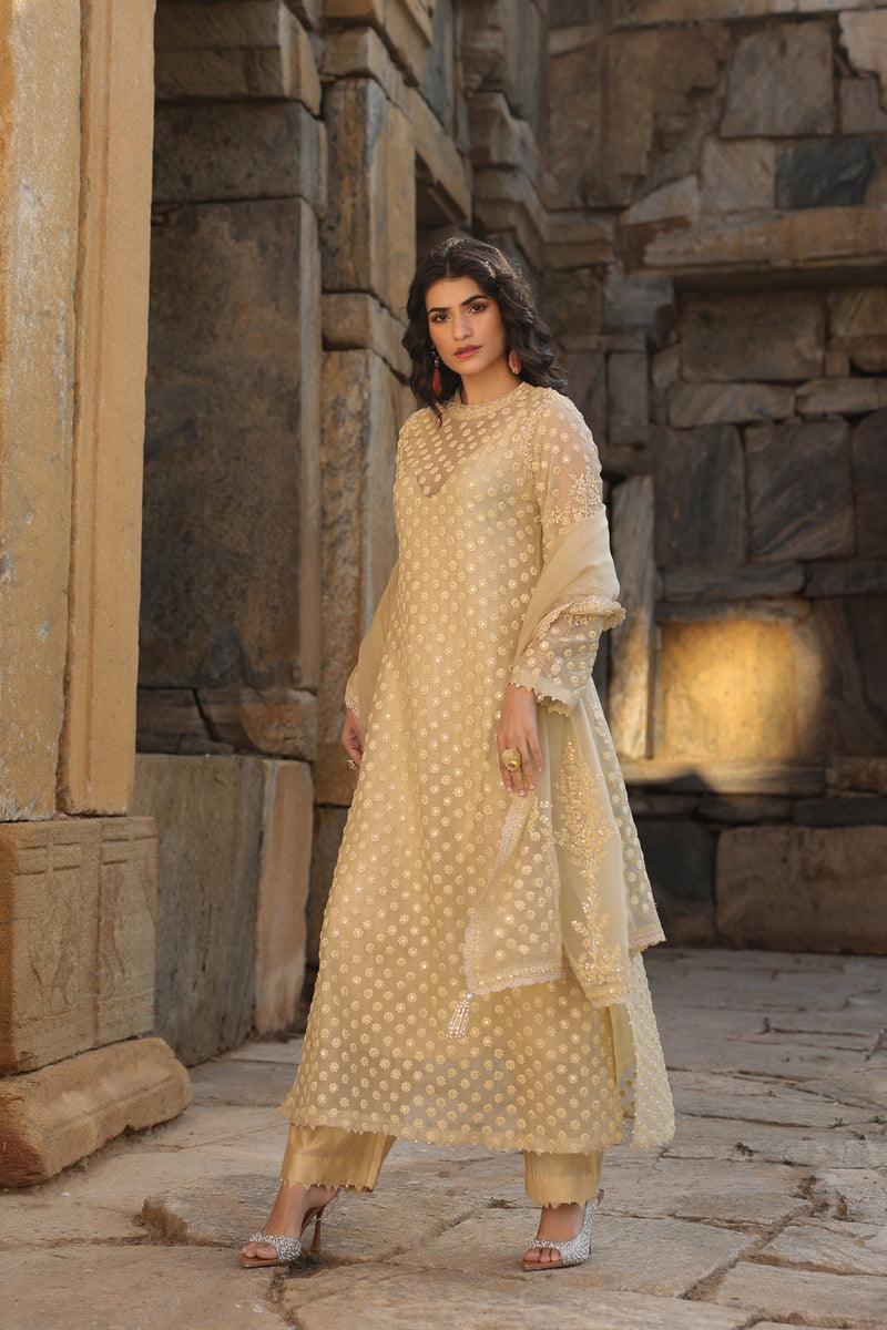 Vaayu Beige Buti Close Neck Kurta Set organza , silk tencel kurta/kurta set by Niti Bothra in beige for women in Singapore