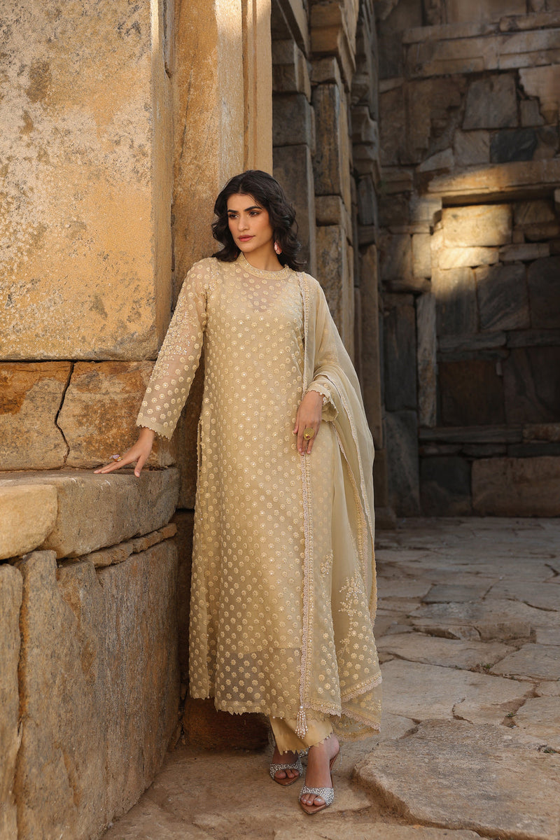 Vaayu Beige Buti Close Neck Kurta Set organza , silk tencel kurta/kurta set by Niti Bothra in beige for women in Singapore
