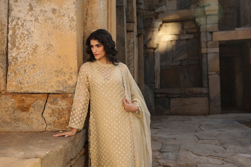 Vaayu Beige Buti Close Neck Kurta Set organza , silk tencel kurta/kurta set by Niti Bothra in beige for women in Singapore