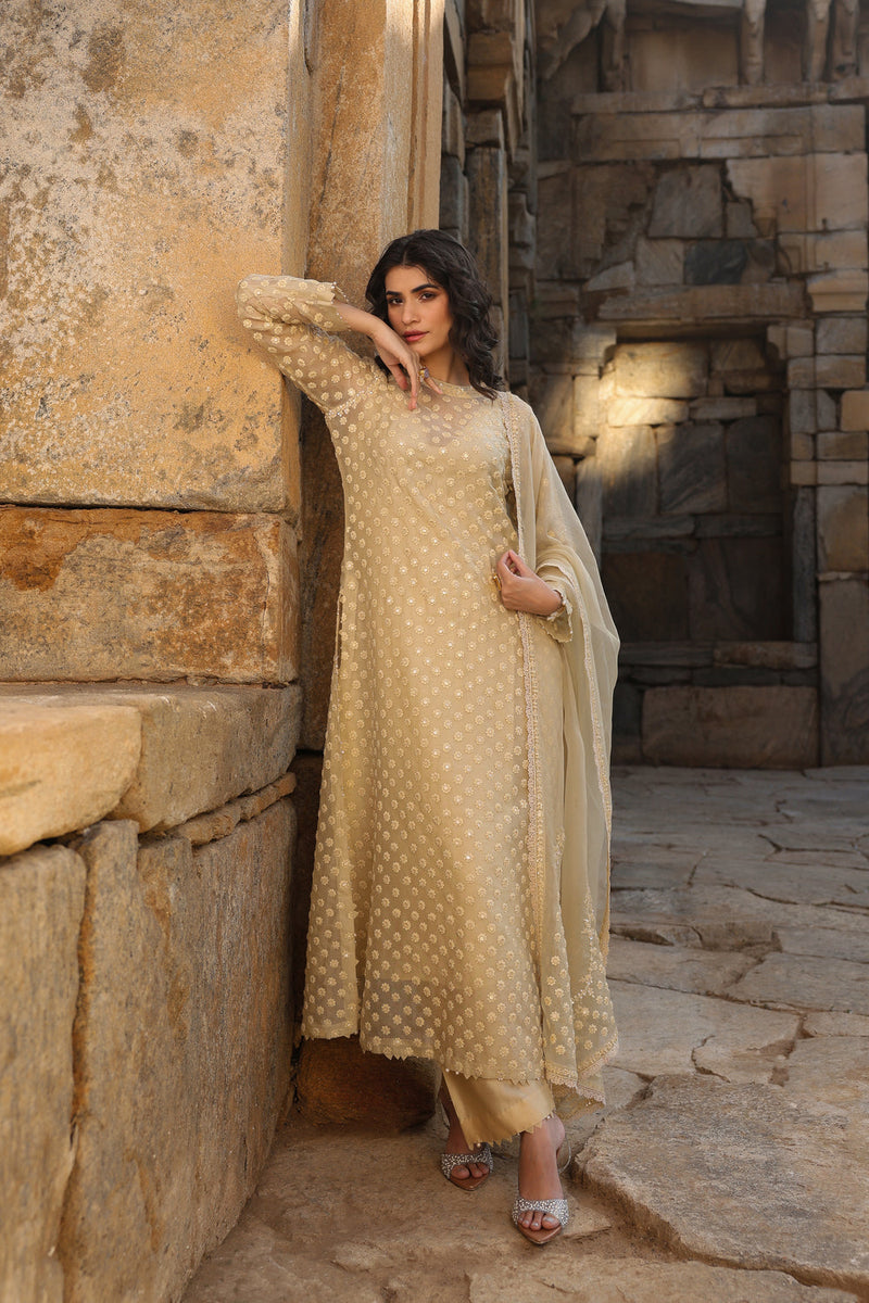 Vaayu Beige Buti Close Neck Kurta Set organza , silk tencel kurta/kurta set by Niti Bothra in beige for women in Singapore