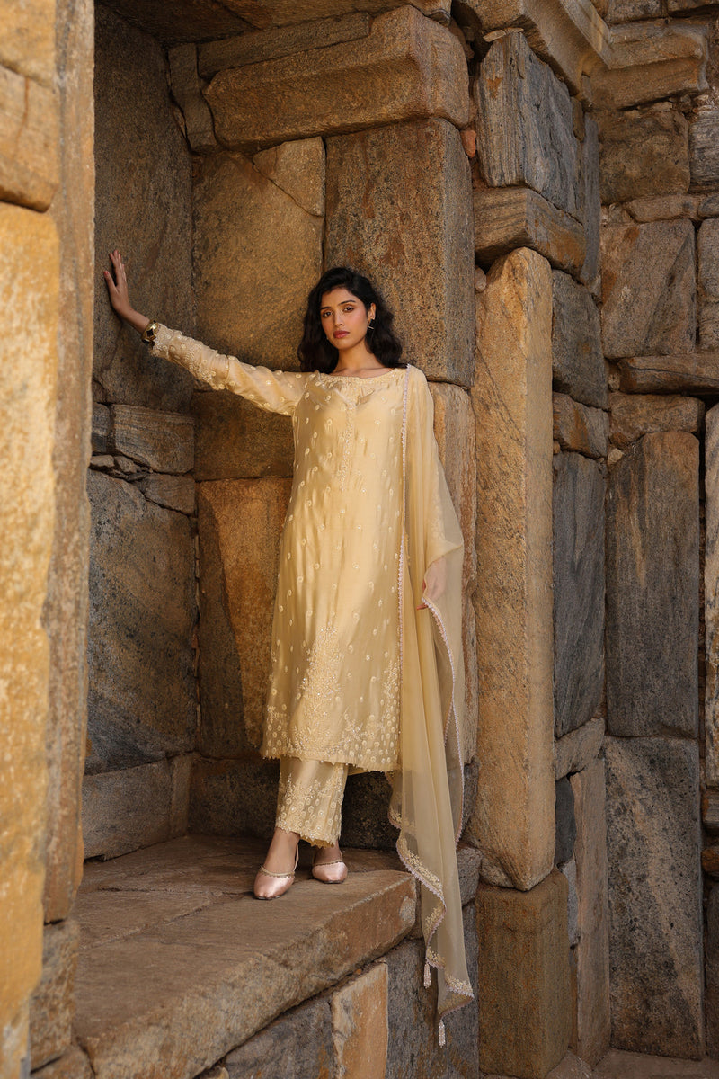 Vaayu Beige Light Buti Kurta Set silk modal kurta/kurta set by Niti Bothra in beige for women in Singapore