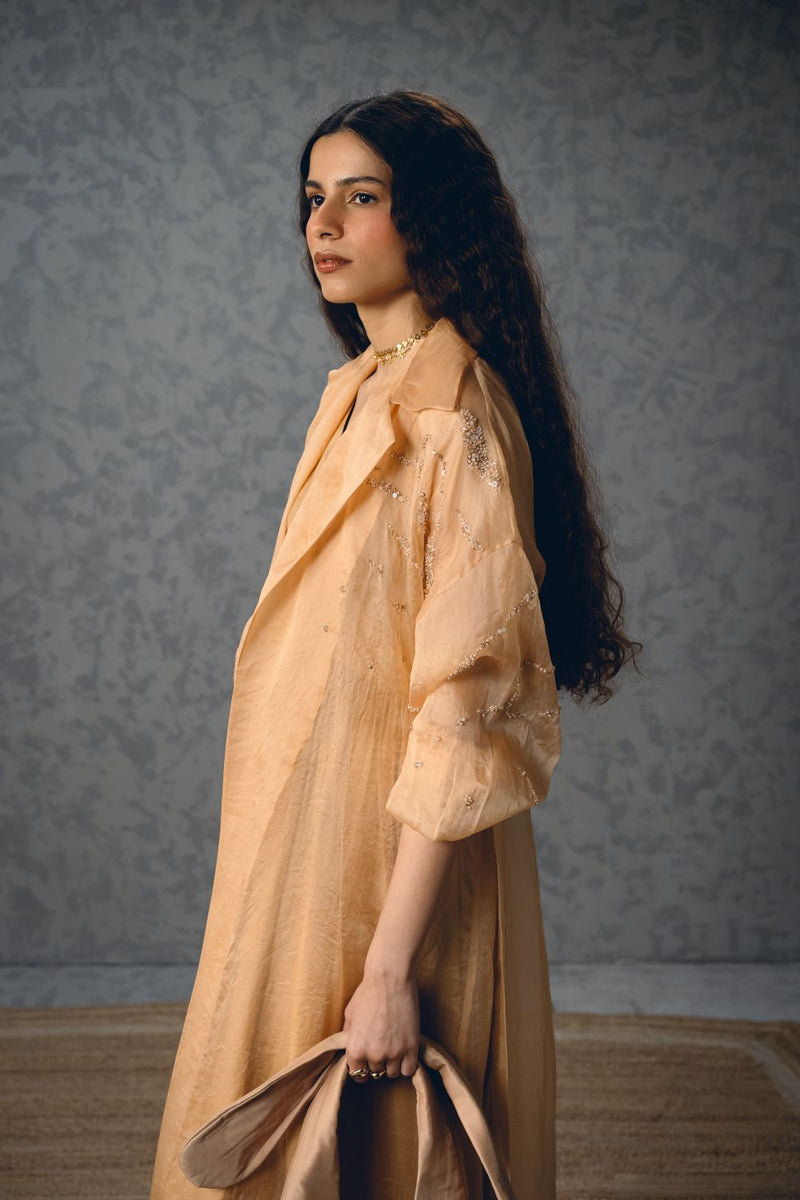 INAYA DRESS pure organza dress by Paulmi & Harsh in nude for women Singapore