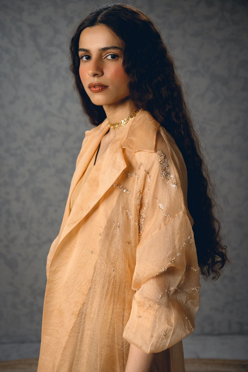 INAYA DRESS pure organza dress by Paulmi & Harsh in nude for women Singapore