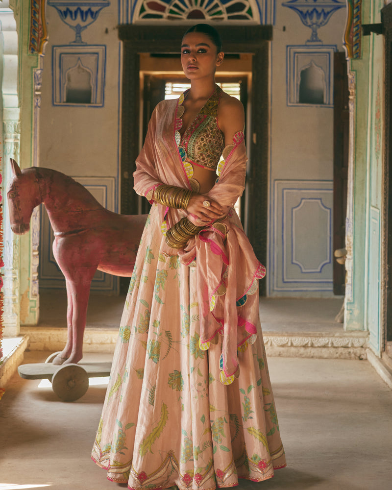 Khel Nude Pink Printed Lehenga silk by Rajiramniq in pink color for women in Singapore
