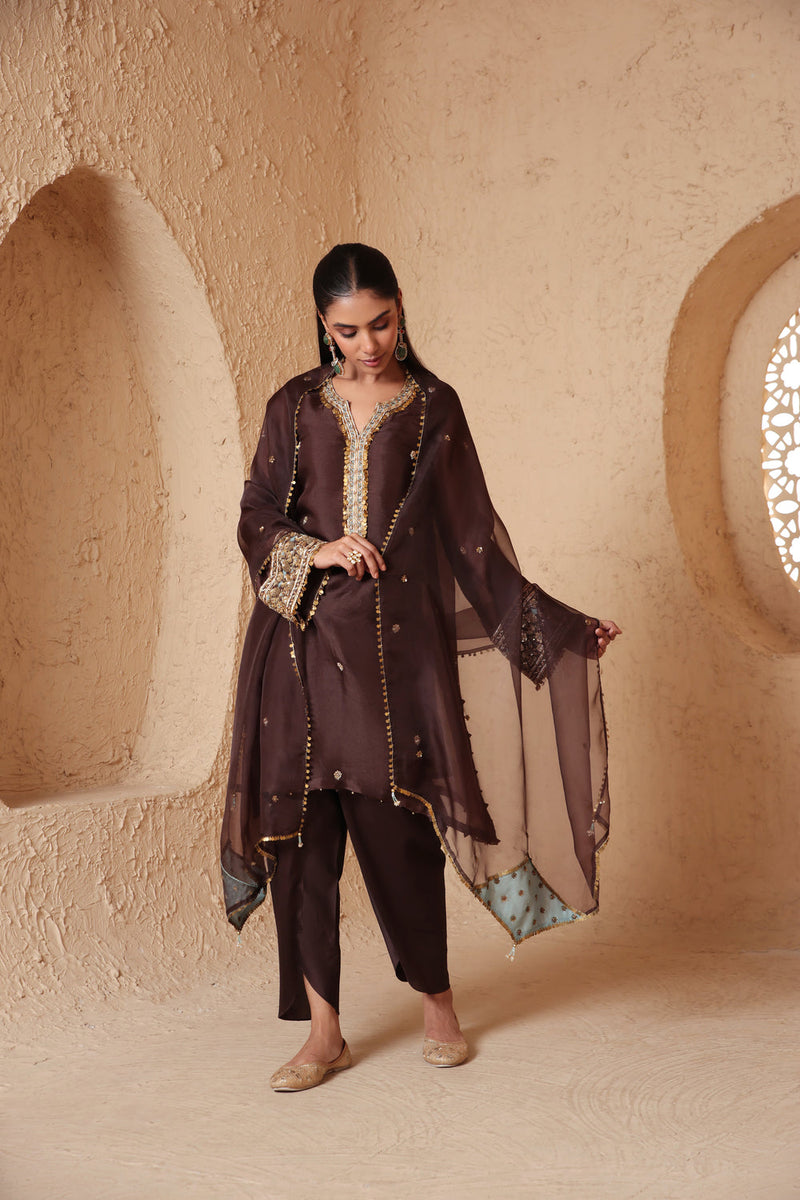 Zar-Rang Brown Short Kurta Set organza, silk tencel kurta/kurta set by Niti Bothra in brown for women in Singapore