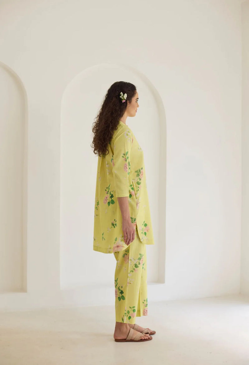 #REF!
