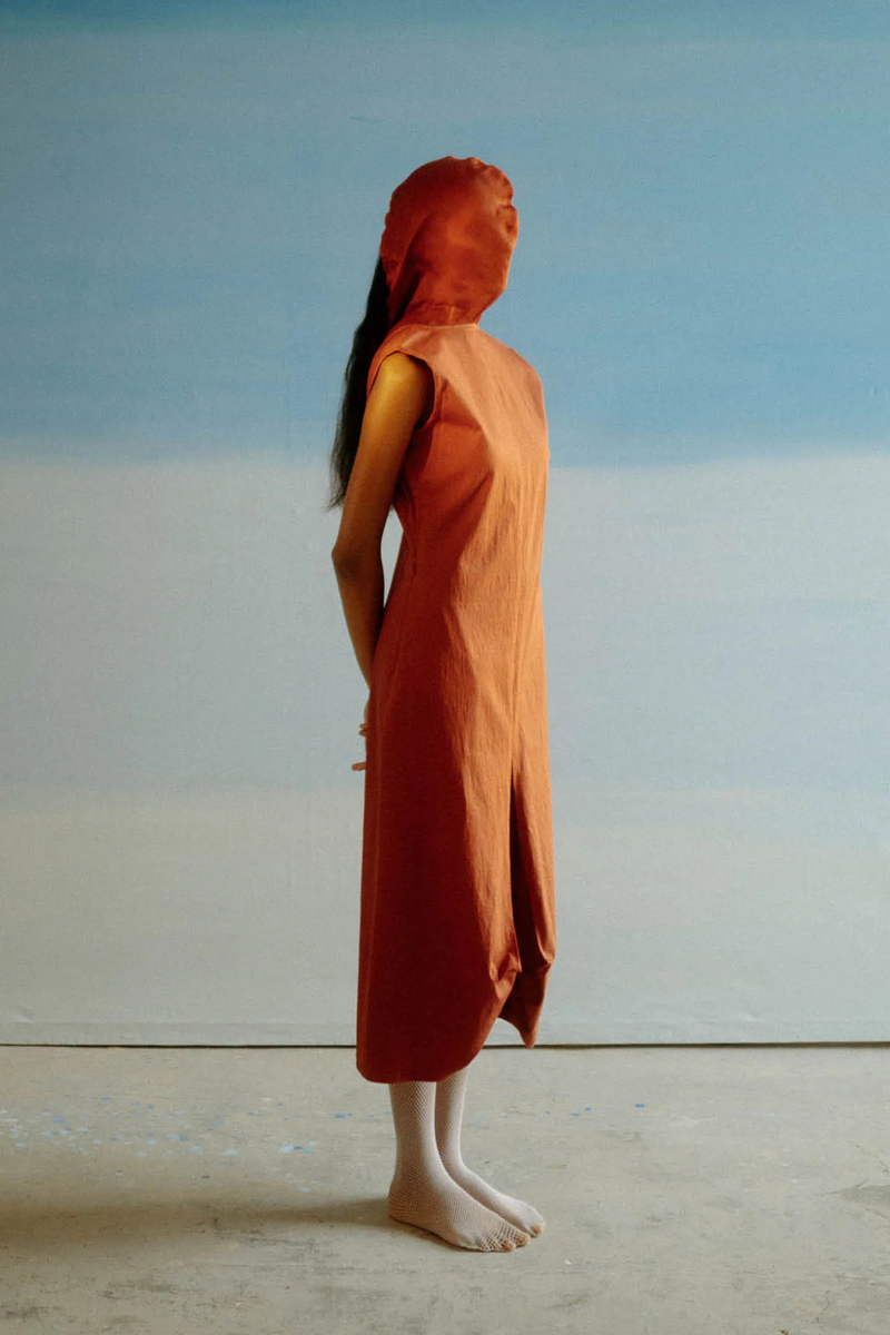 EKAM HOOD DRESS organza Buy EKAM HOOD DRESS from C&W | Dresses for Women by Ituvana in rust color for women in Singapore
