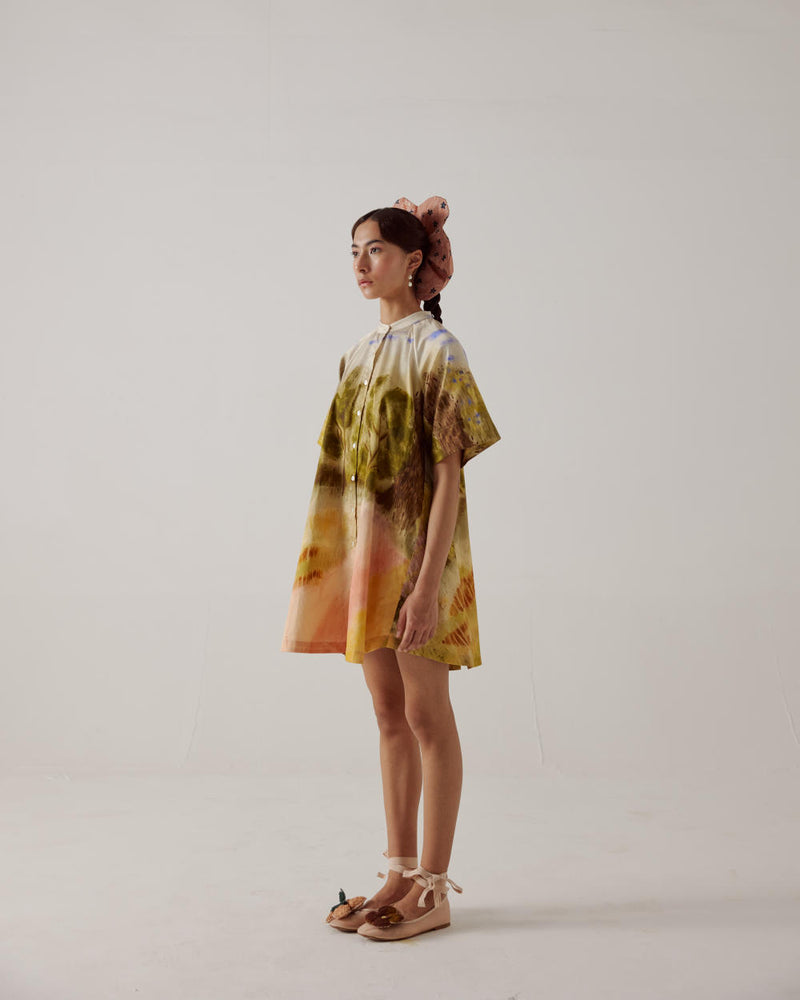 A-Line Dress-Dale cotton by CORD in multi for women in Singapore