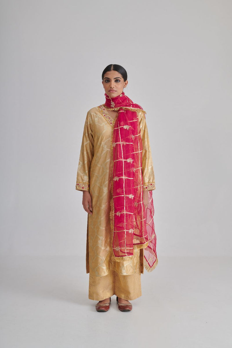 AADYA DUPATTA