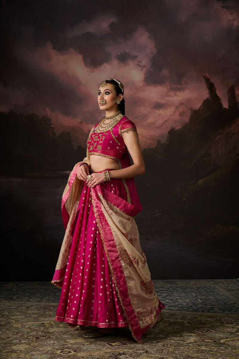 ADNAN DUPATTA chanderi by SWATTI KAPOOR in gold color for women in Singapore