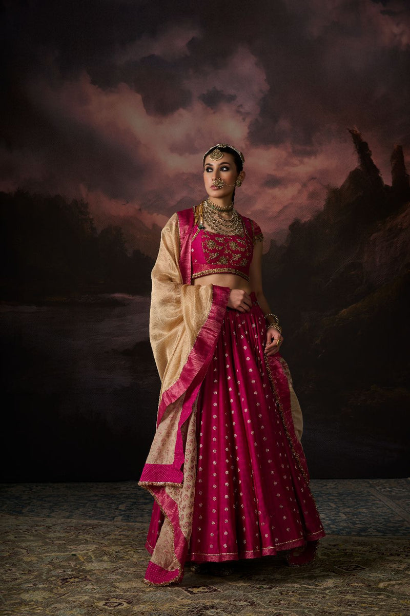 ADNAN DUPATTA chanderi by SWATTI KAPOOR in gold color for women in Singapore