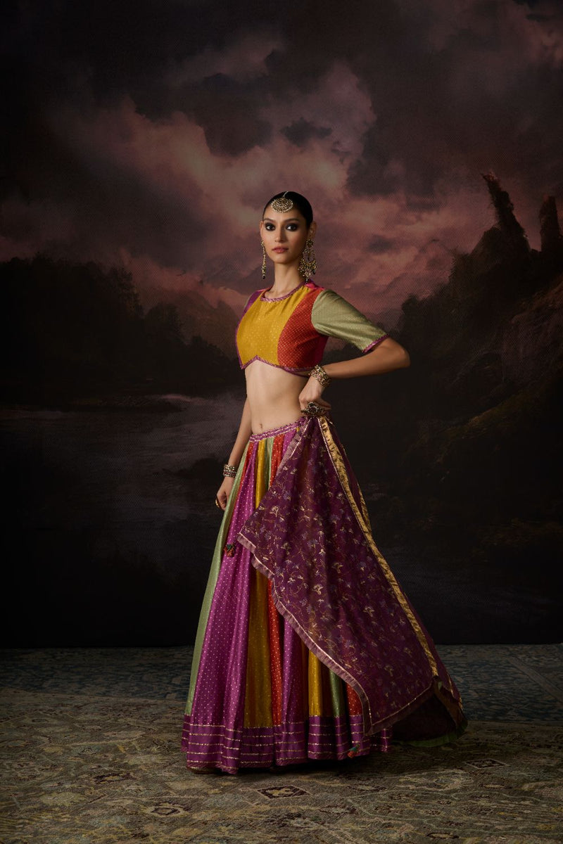 AMAL SKIRT chanderi by SWATTI KAPOOR in multi color for women in Singapore