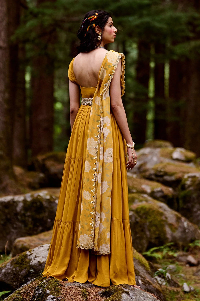 Belinda Maxi Set georgettte by Paulmi & Harsh-kahan Sep'26 in yellow for women in Singapore