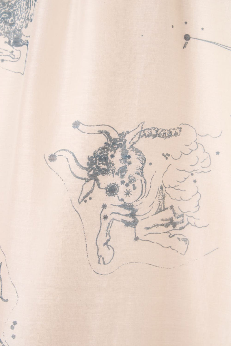 Cheryl Zodiac Print Handwoven Dress chanderi by The Summer House in white color for women in Singapore