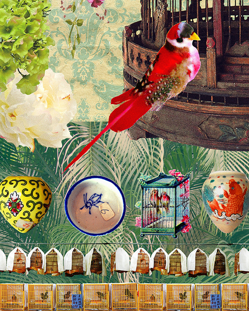 Bird & Flower Market