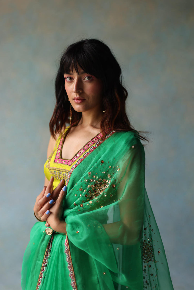 GUL GREEN SEQUIN FLOWER SARI organza by Rajiramniq for women in Singapore